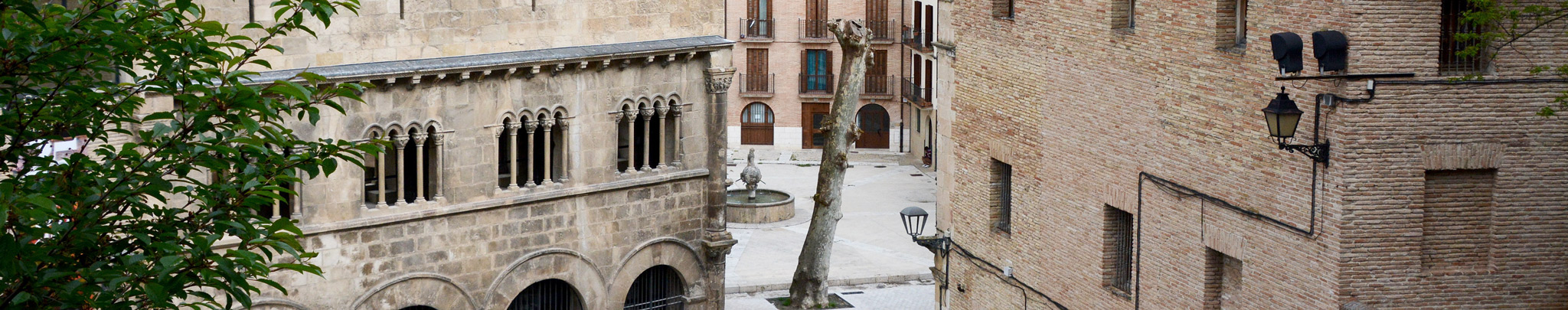 Imagen Estella Imagen Estella
